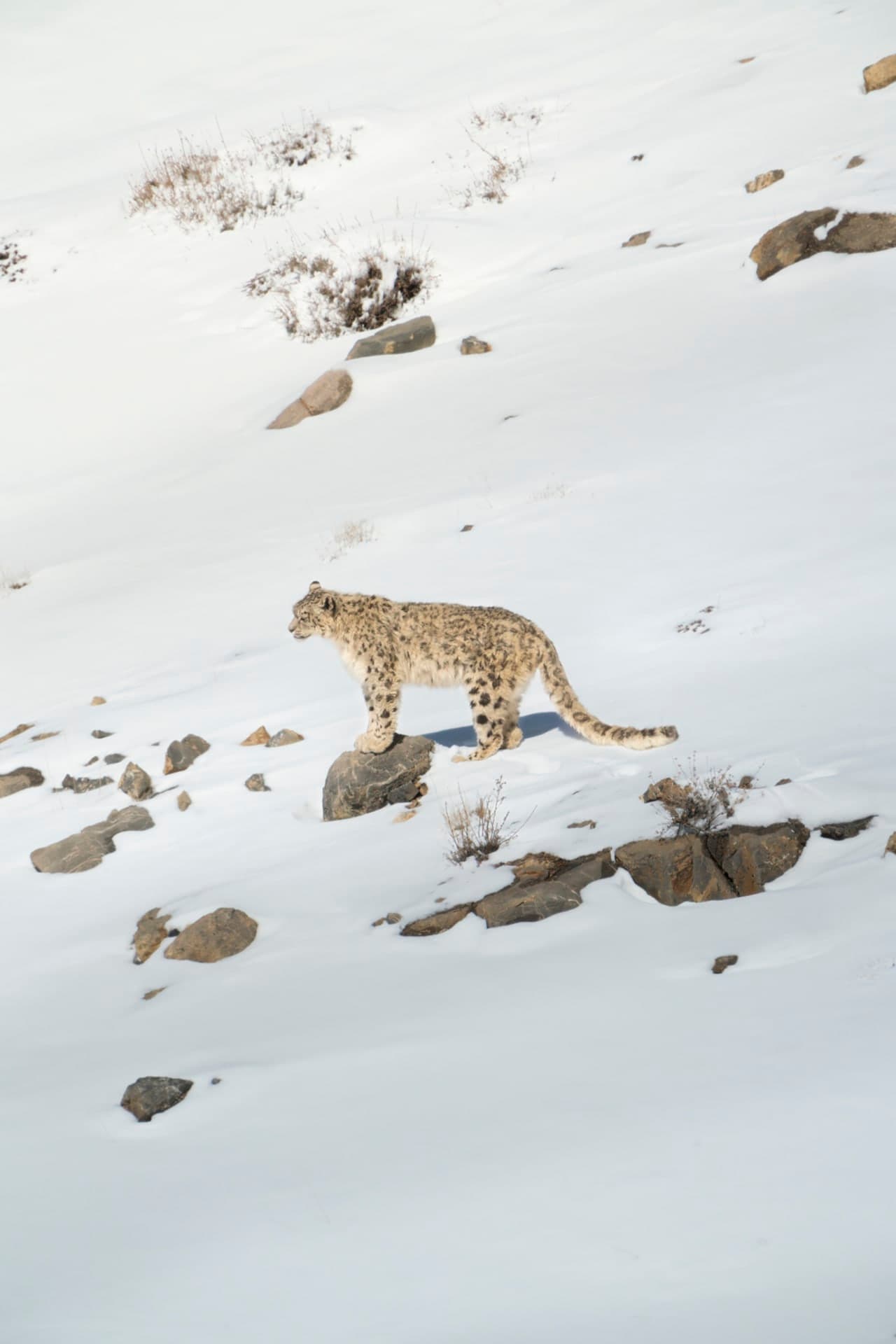 Dann Paiva's photo